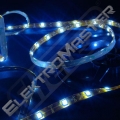 Pásek LED SMD5050 st.b. 30LED/m 12V IP20