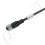 WEIDMÜLLER Konektor SAIL-M12BG-5-5.0U